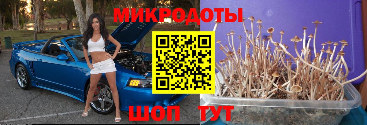 Волгодонск  Псилоцибиновые грибы Magic Shrooms  Вход с VPN  Галлюциногенные грибы Psilocybine cubensis 