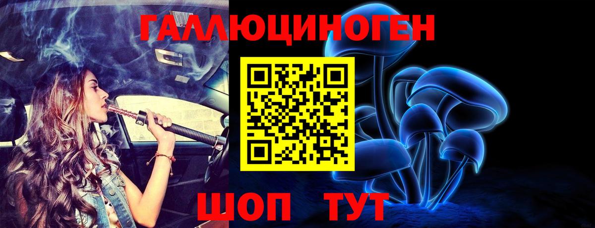 Галлюциногенные грибы Psilocybe Волгодонск
